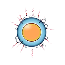 In Vitro Fertilization IVF Treatment Icon