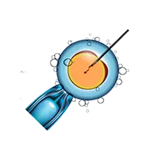 Preimplantation Genetic Diagnosis PGD Icon